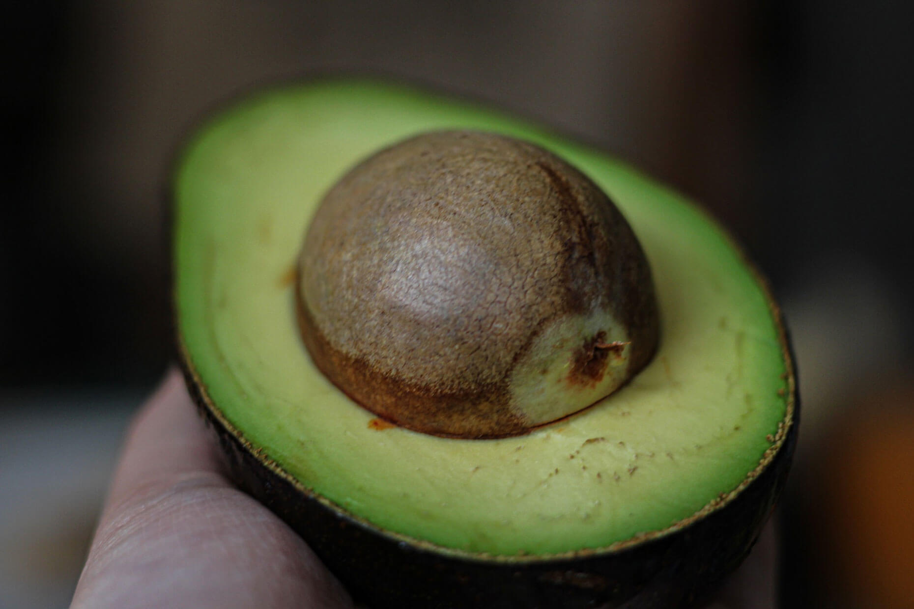 A partially obscured hand holding half an avocado with the pit still in place