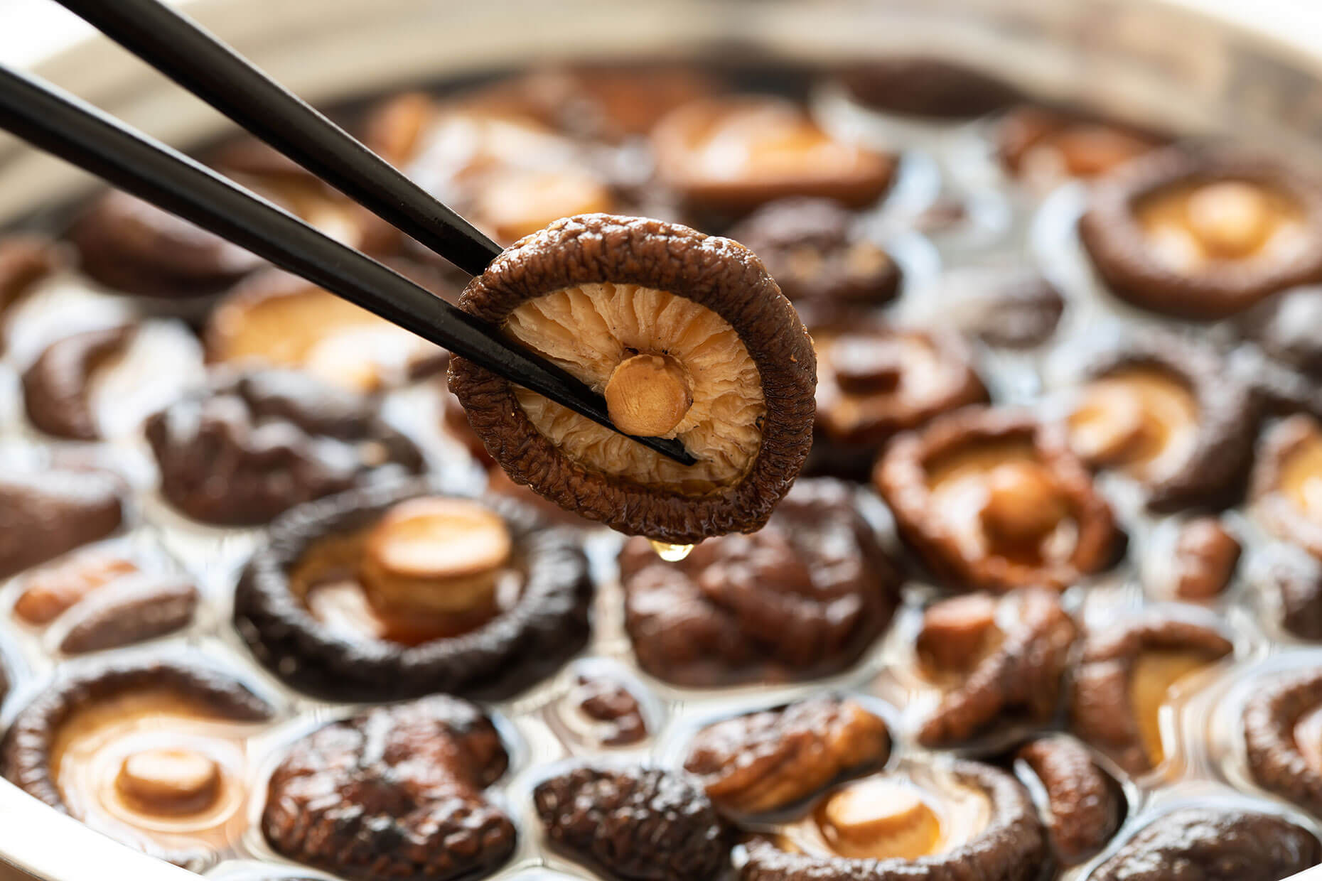 Chopsticks holding a rehydrated shiitake mushroom, with more shiitake mushrooms floating in a bowl of water in the background